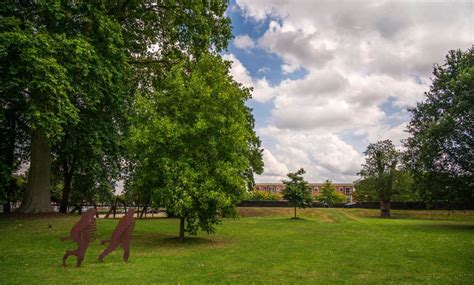  Het Zuiderpark: Een Groene Oase en een Speelparadijs voor Jong en Oud!